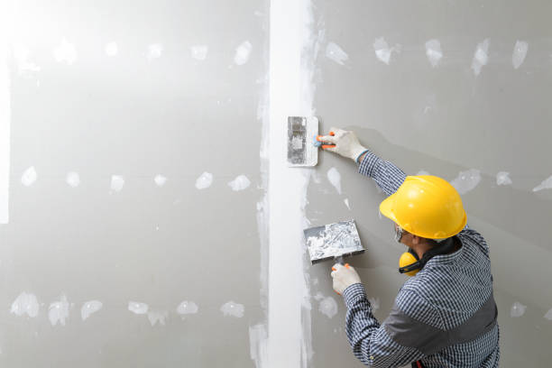 Best Real Estate Mold Inspection  in Broad Brook, CT
