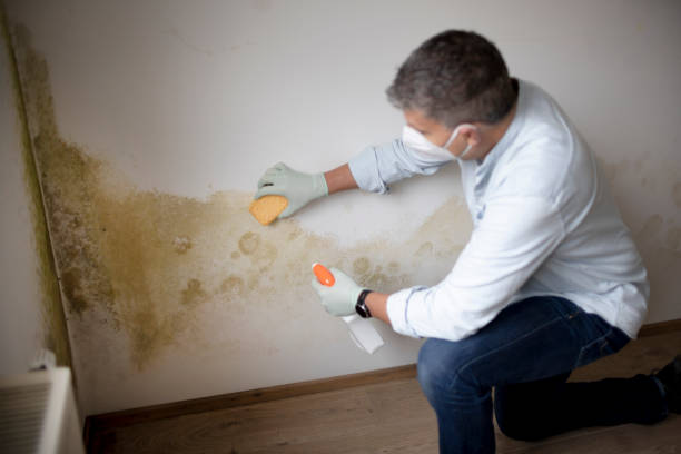 Best Emergency Mold Remediation  in Broad Brook, CT