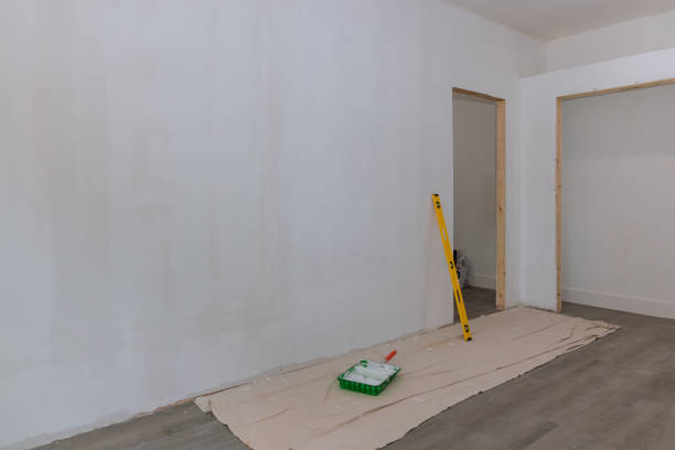 Mold Odor Removal Services in Broad Brook, CT