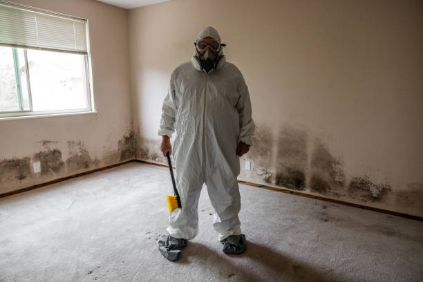 Best Mold Remediation for Healthcare Facilities  in Broad Brook, CT