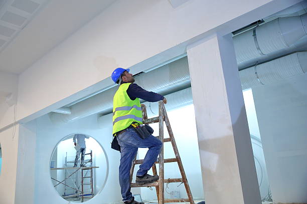Best Mold Damage Restoration  in Broad Brook, CT